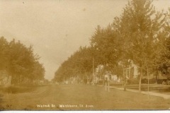 Walnut-St.-Washburn
